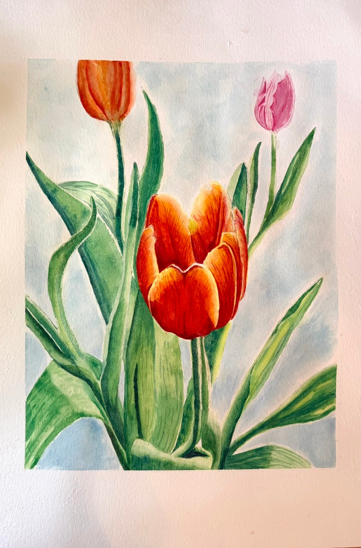 Tulips