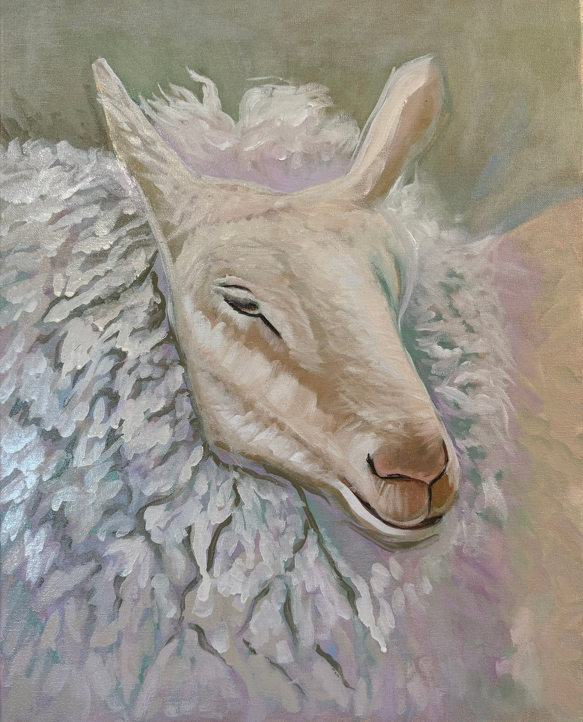 Sheep