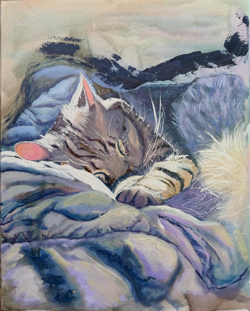 Sleeping in the Sunshine