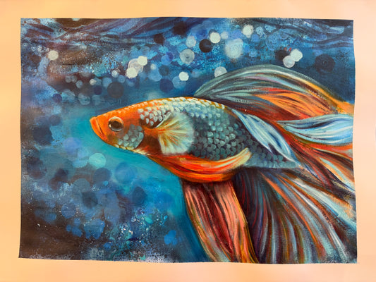 Beta Fish